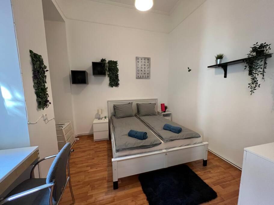 Big Apartment In The City Centre Budapest Exterior photo